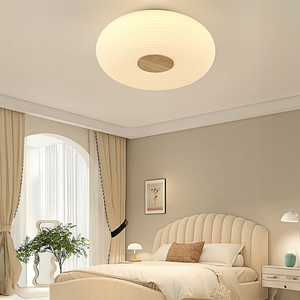 Modern Minimalist LED Flush Mount Ceiling Lights