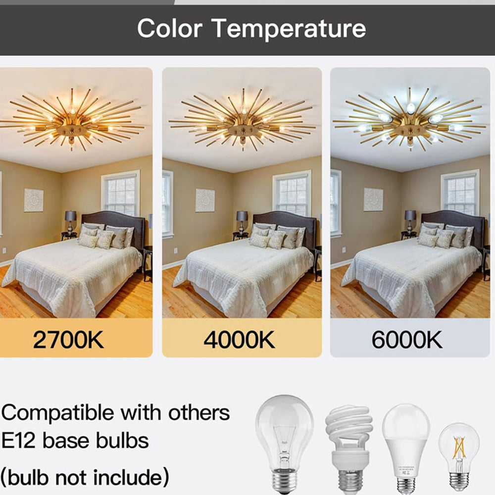 8-Light Modern Ceiling Lights