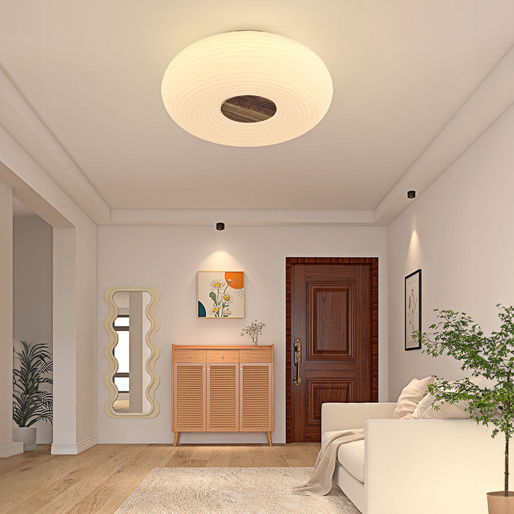 Modern Minimalist LED Flush Mount Ceiling Lights