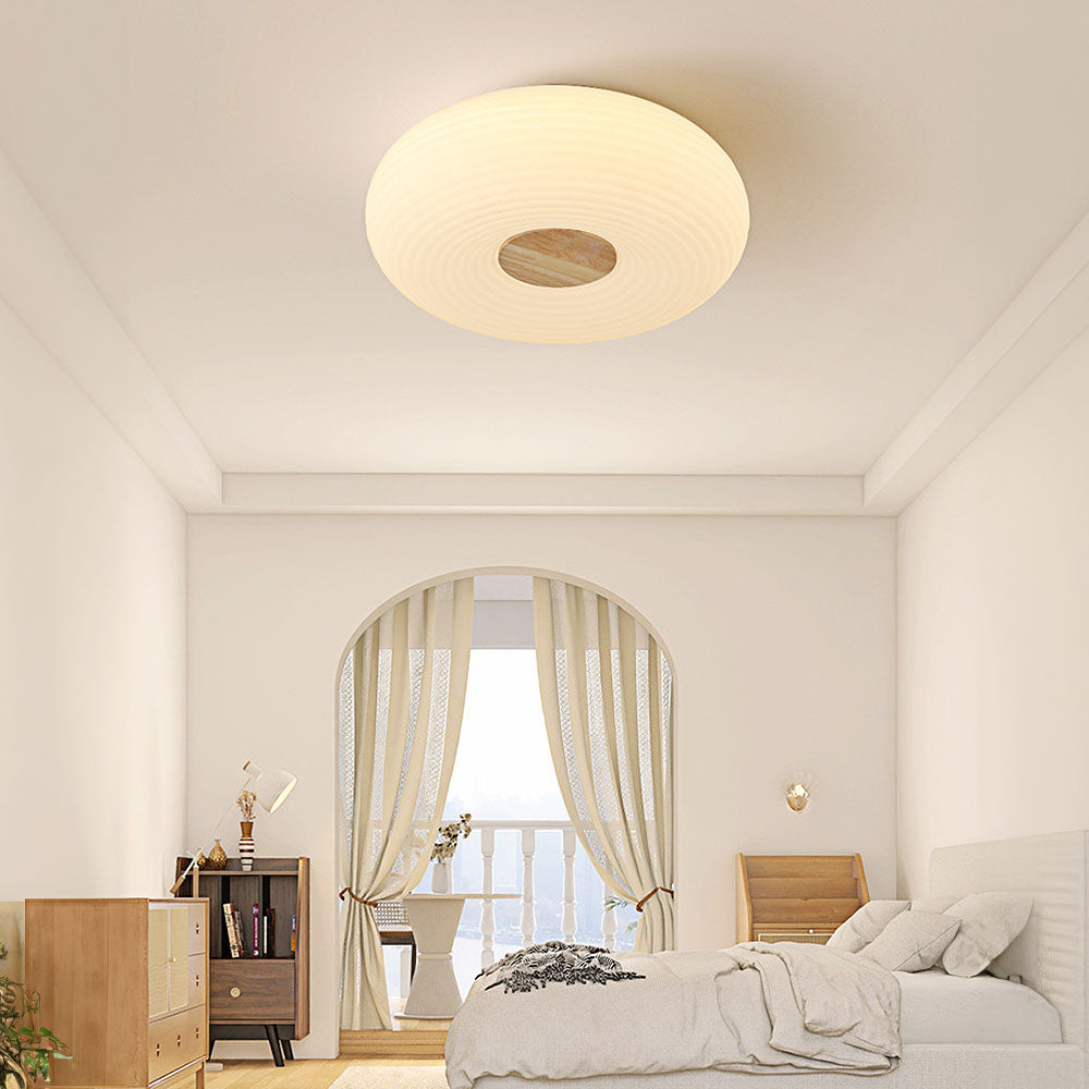 Modern Minimalist LED Flush Mount Ceiling Lights