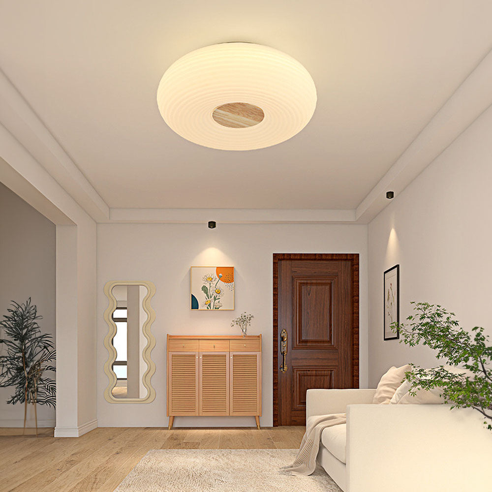 Modern Minimalist LED Flush Mount Ceiling Lights