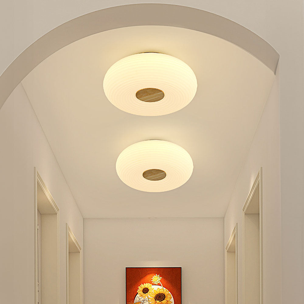 Modern Minimalist LED Flush Mount Ceiling Lights