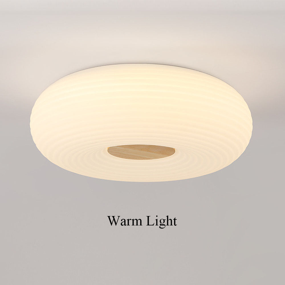 Modern Minimalist LED Flush Mount Ceiling Lights