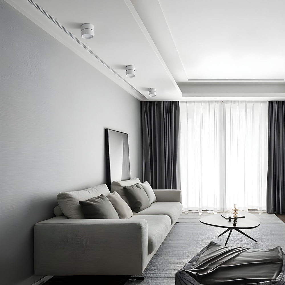 Compact Adjustable Ceiling Spotlight