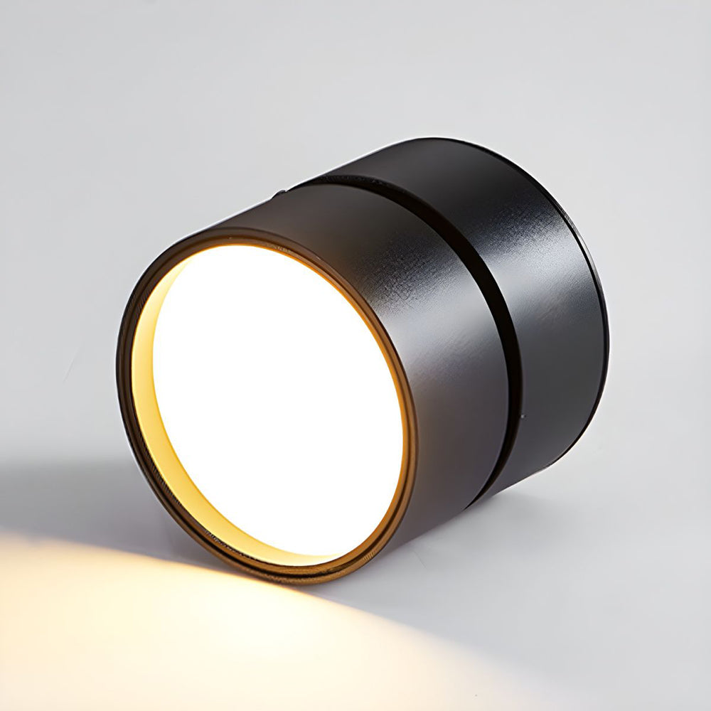 Compact Adjustable Ceiling Spotlight