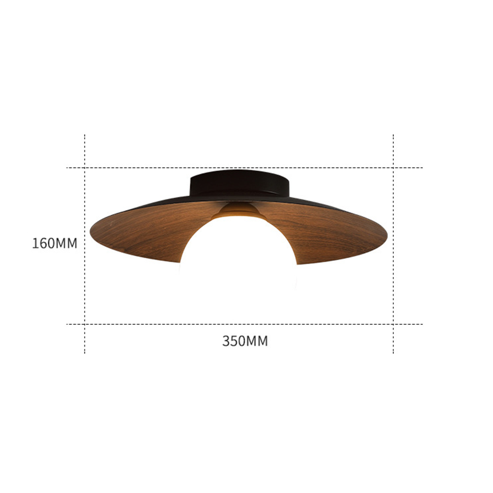 Sleek Contemporary Ceiling Light for Entryways & Foyers