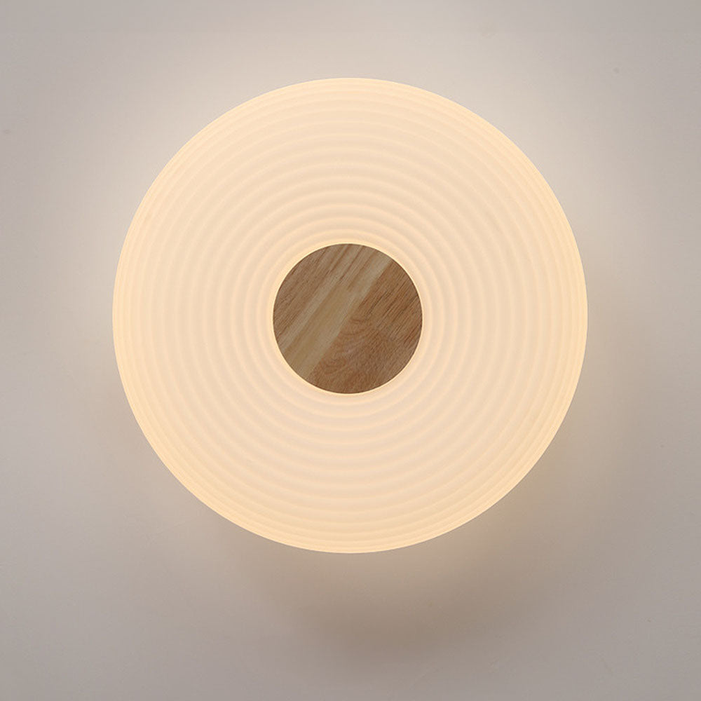 Modern Minimalist LED Flush Mount Ceiling Lights