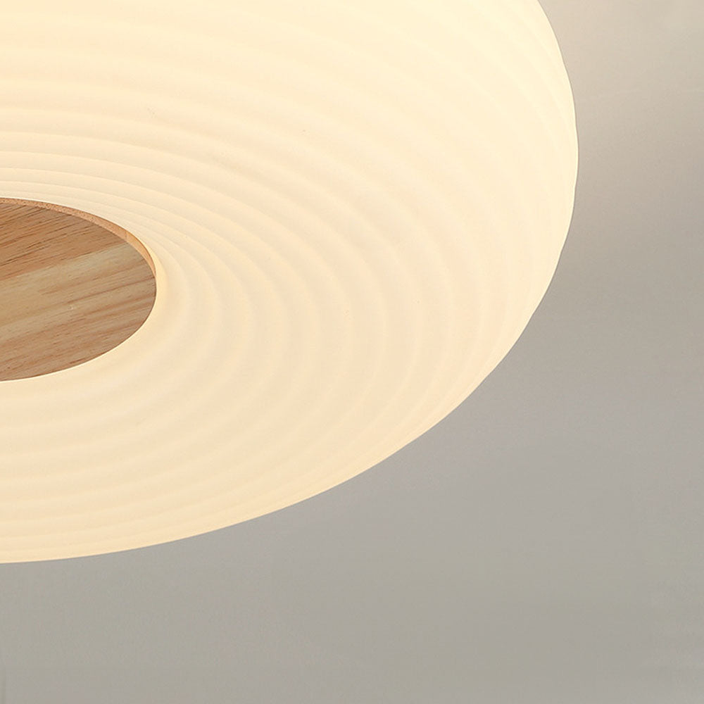 Modern Minimalist LED Flush Mount Ceiling Lights