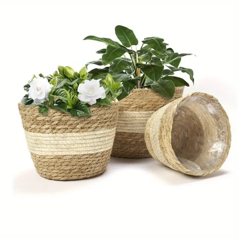 Handcrafted Trio Seagrass Planters