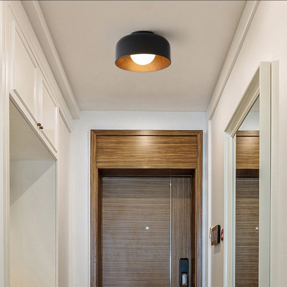 Minimalist Flush Mount Ceiling Lights
