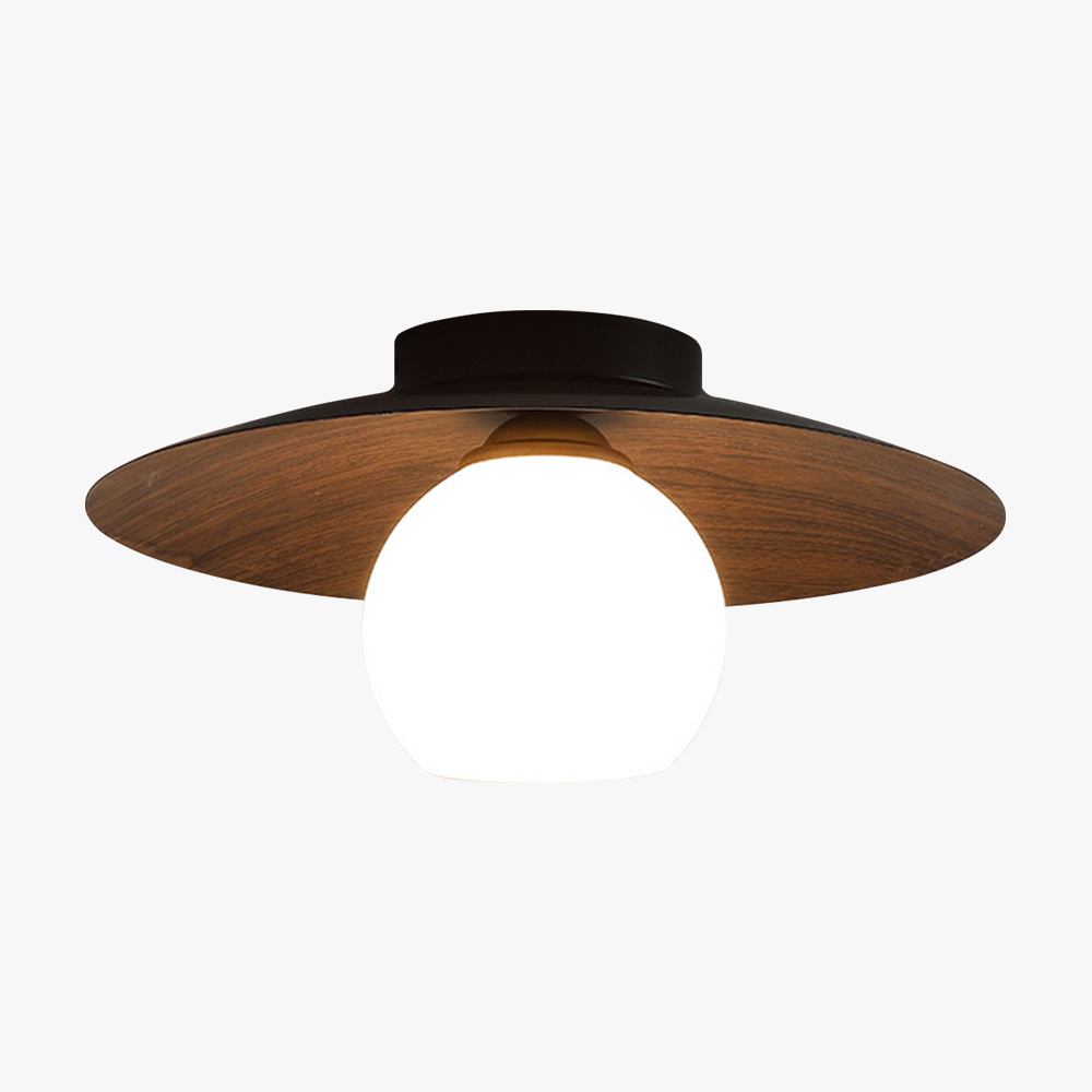 Sleek Contemporary Ceiling Light for Entryways & Foyers