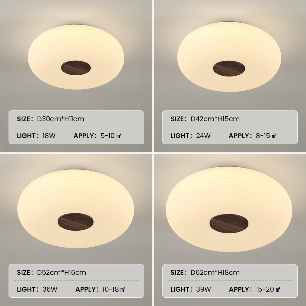 Modern Minimalist LED Flush Mount Ceiling Lights