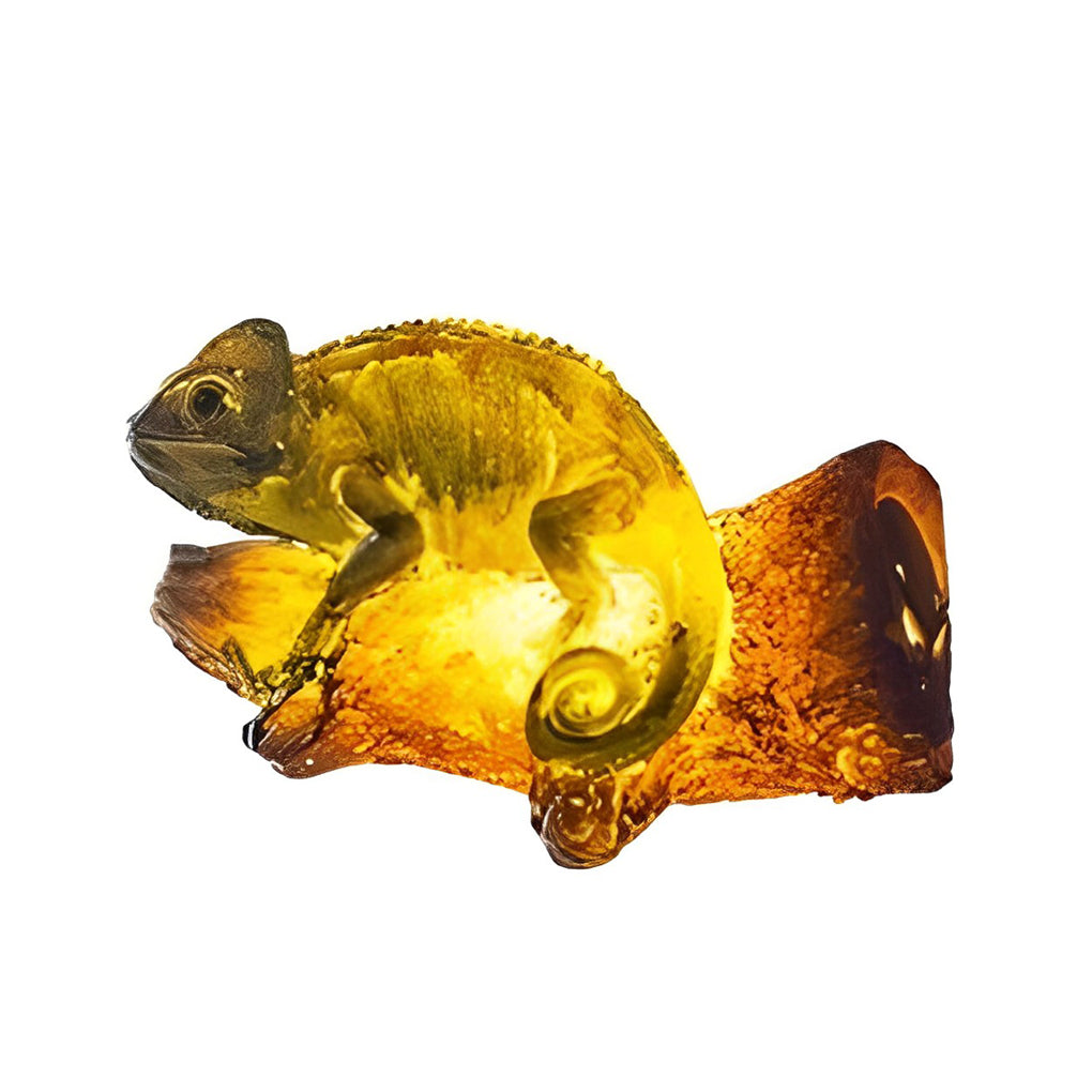 Waterproof LED Outdoor Lights – Solar-Powered Animal Garden Ornaments