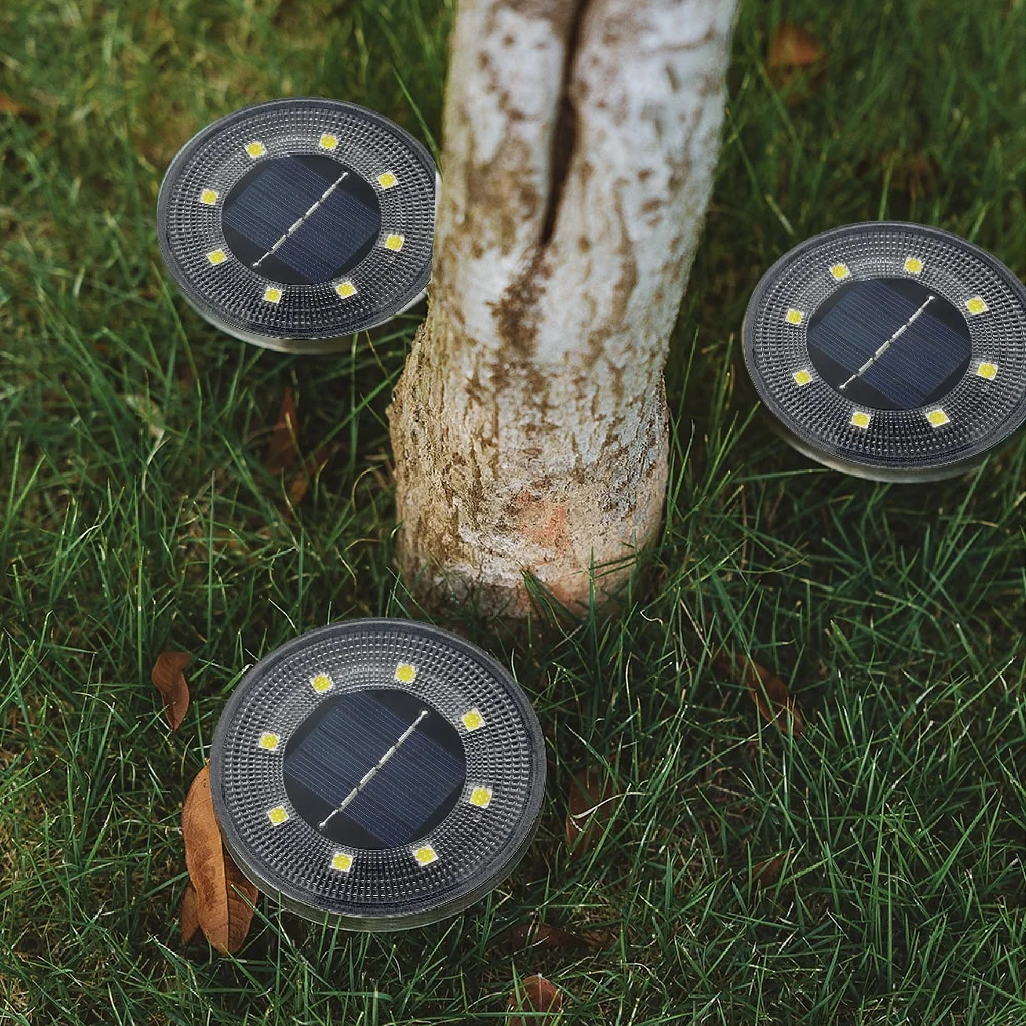 Solar Garden Lights - Waterproof Outdoor LED Lighting