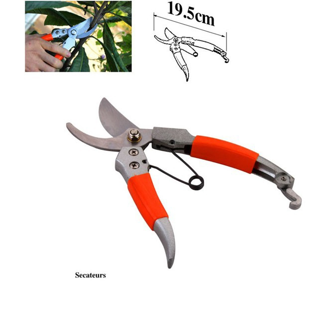10-Piece Garden Tool Kit – Organized and Ready-to-Use Set