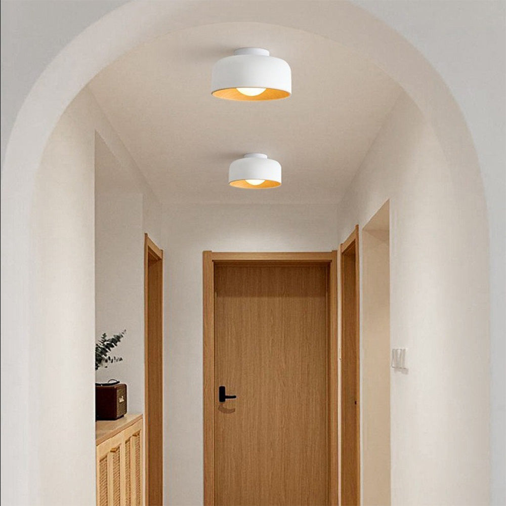 Minimalist Flush Mount Ceiling Lights