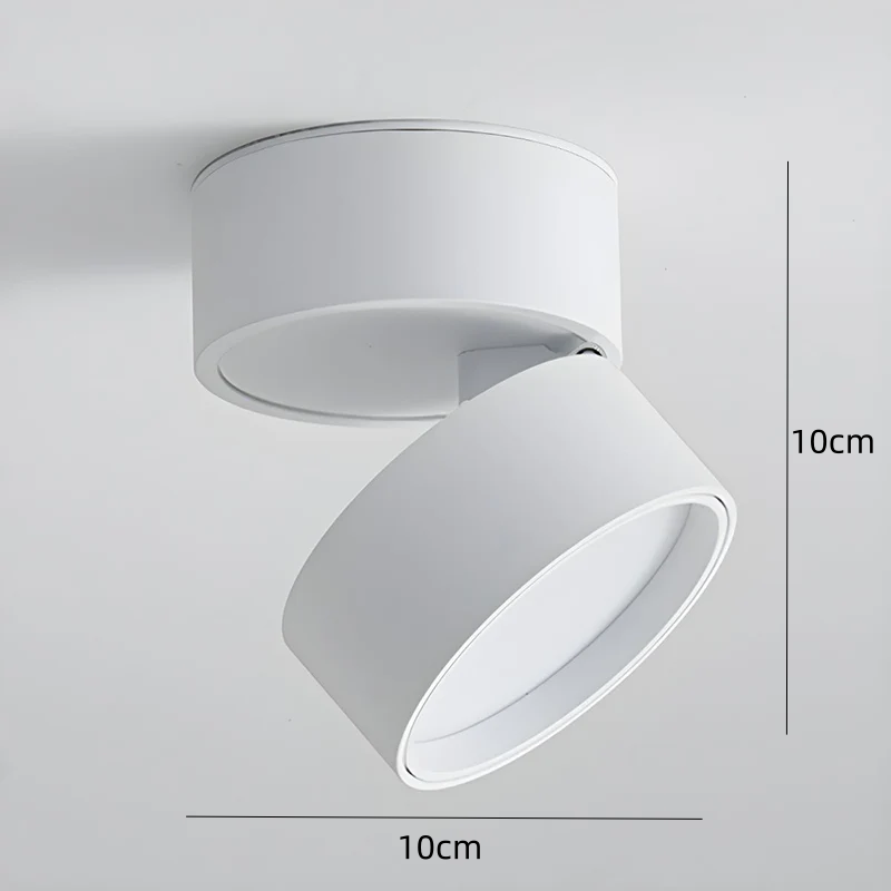 Compact Adjustable Ceiling Spotlight