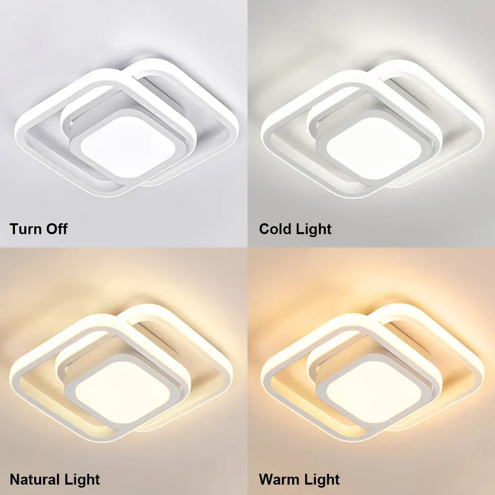 Modern Minimalist Halo Duo Ceiling Light