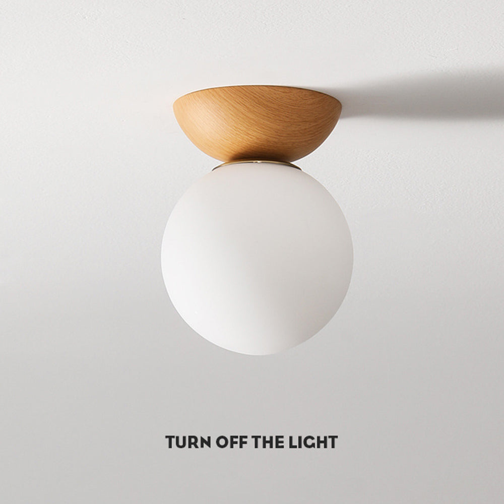 Scandinavian-Inspired Flush Mount Ceiling Lights