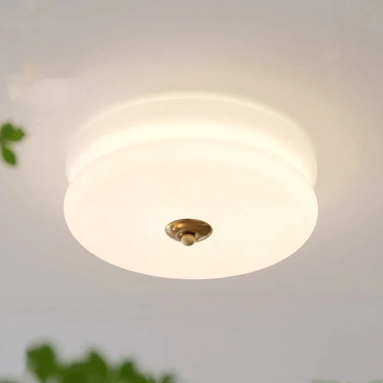 Vintage Dome Ceiling Light