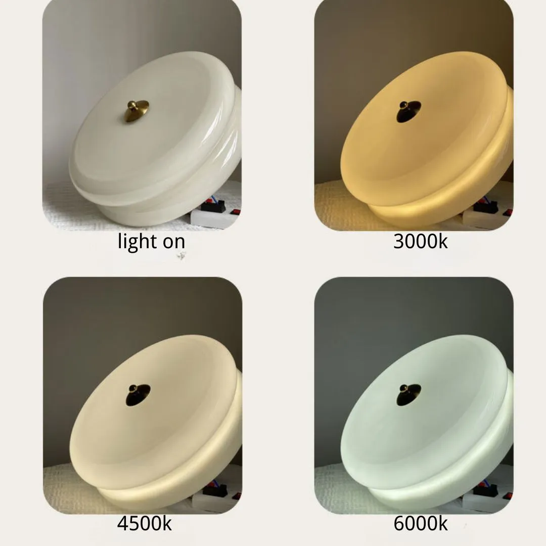 Vintage Dome Ceiling Light