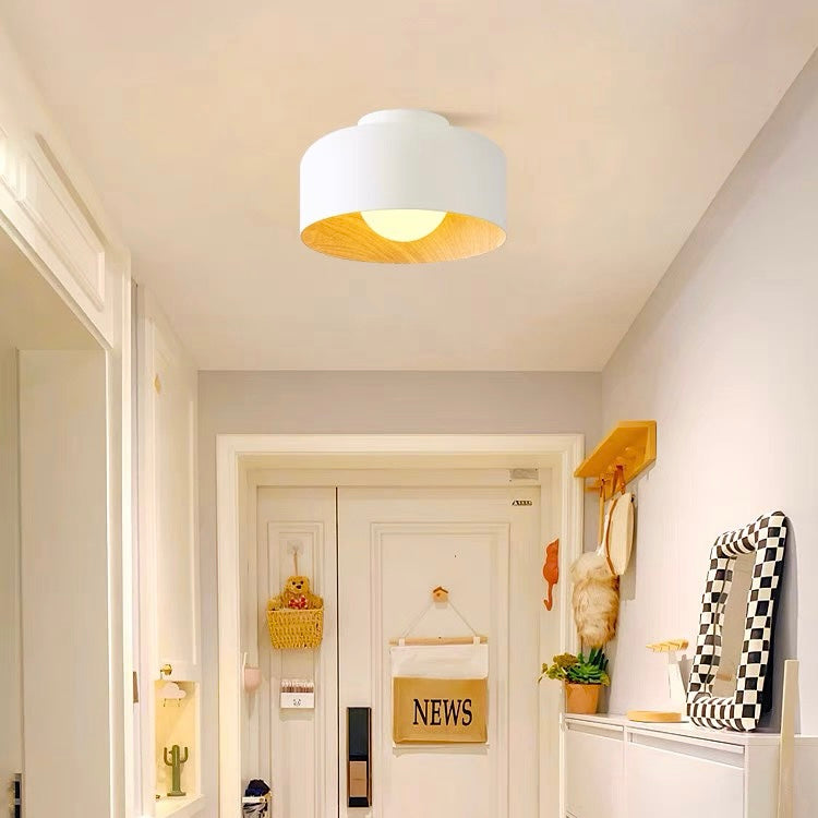 Minimalist Flush Mount Ceiling Lights