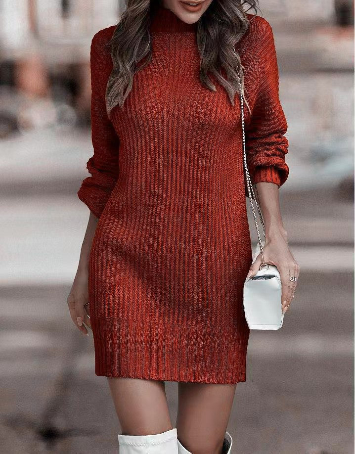 Women's Turtleneck Long Sleeve Knitted Dress | Mini