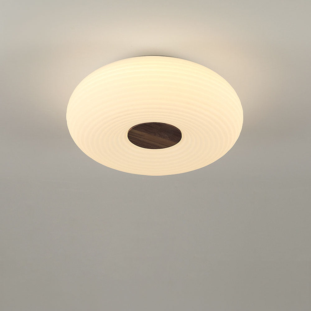 Modern Minimalist LED Flush Mount Ceiling Lights