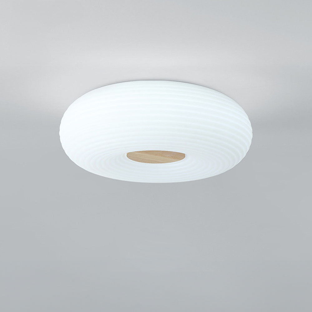 Modern Minimalist LED Flush Mount Ceiling Lights