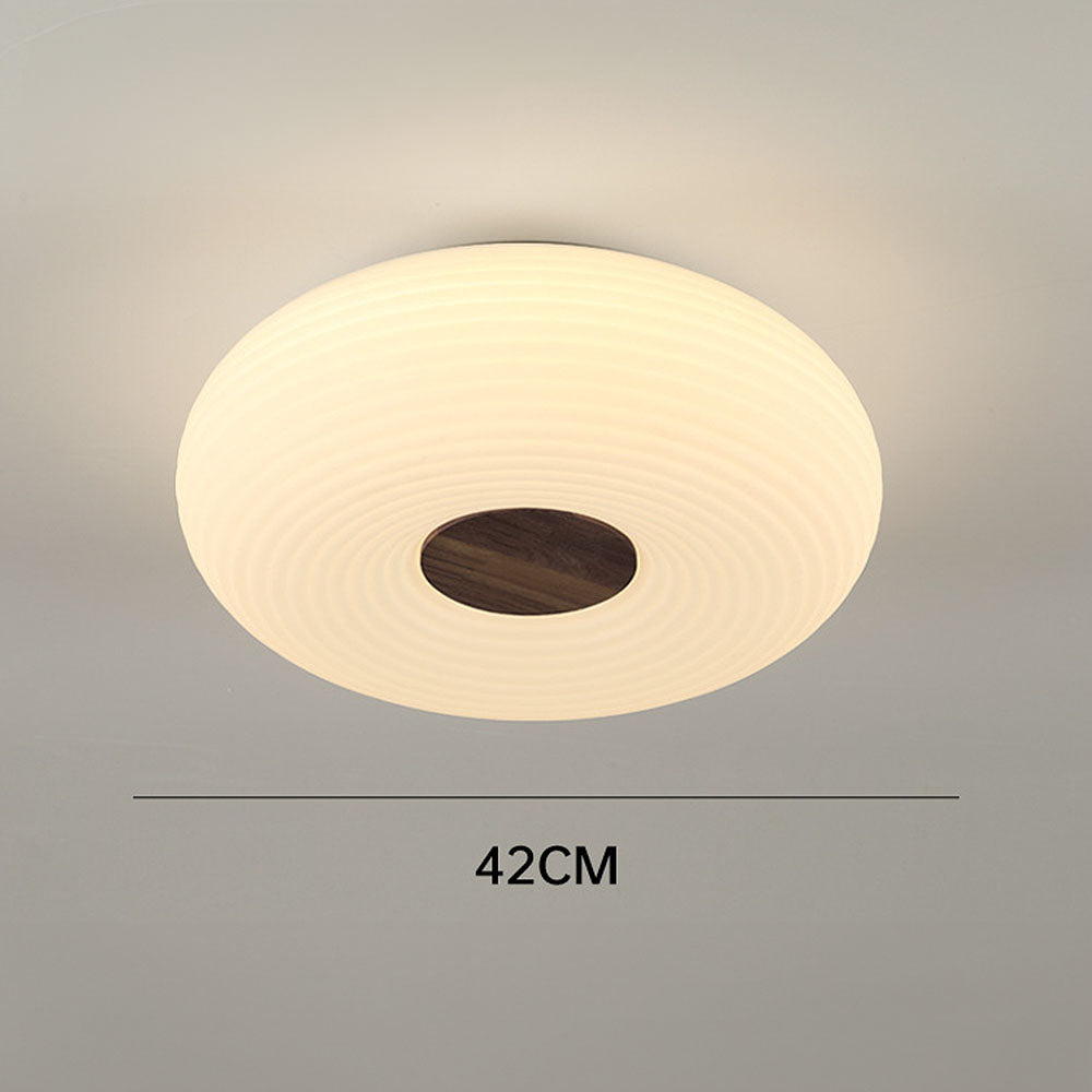 Modern Minimalist LED Flush Mount Ceiling Lights