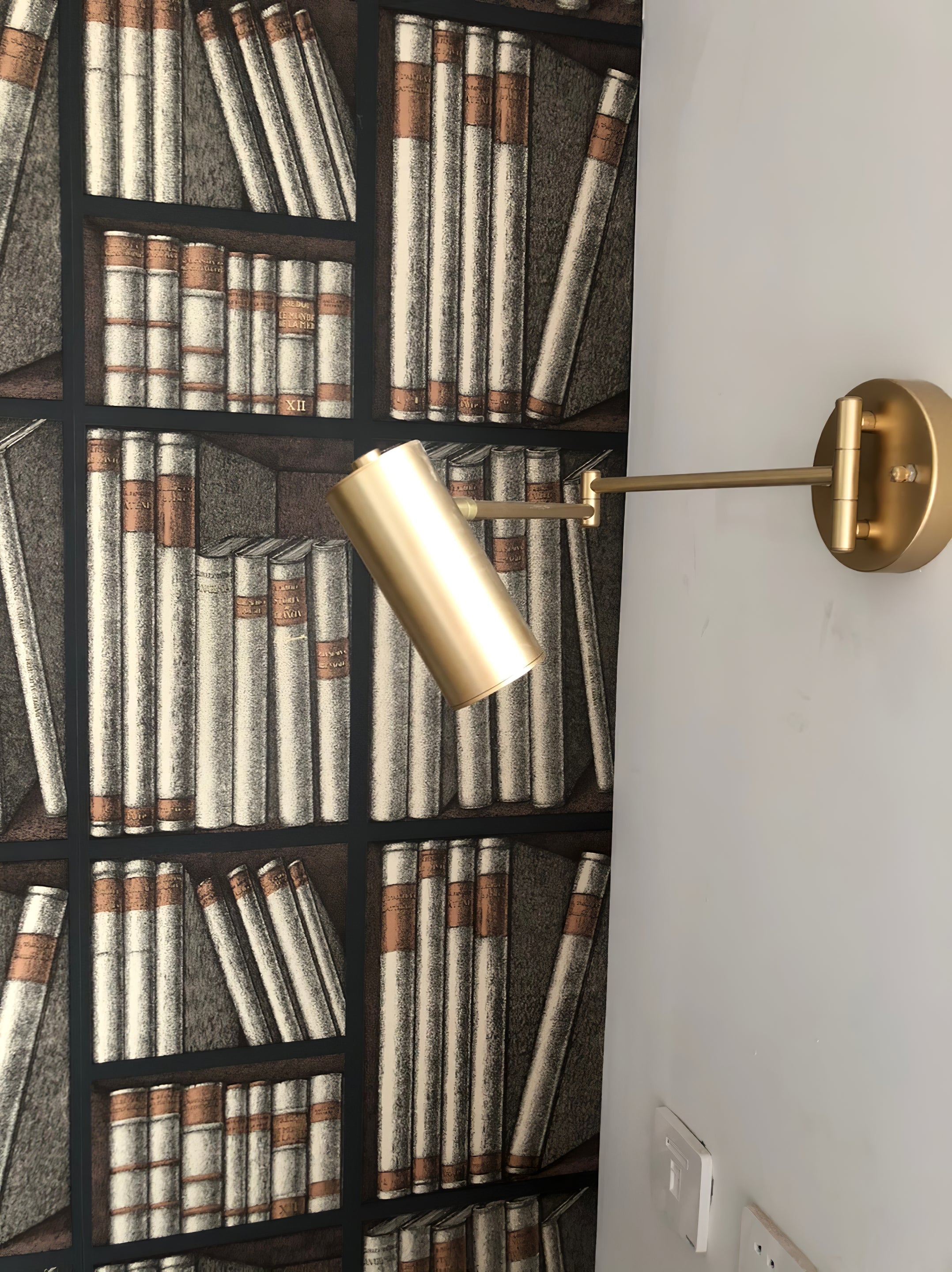 Modern Wall Light with Adjustable Arm