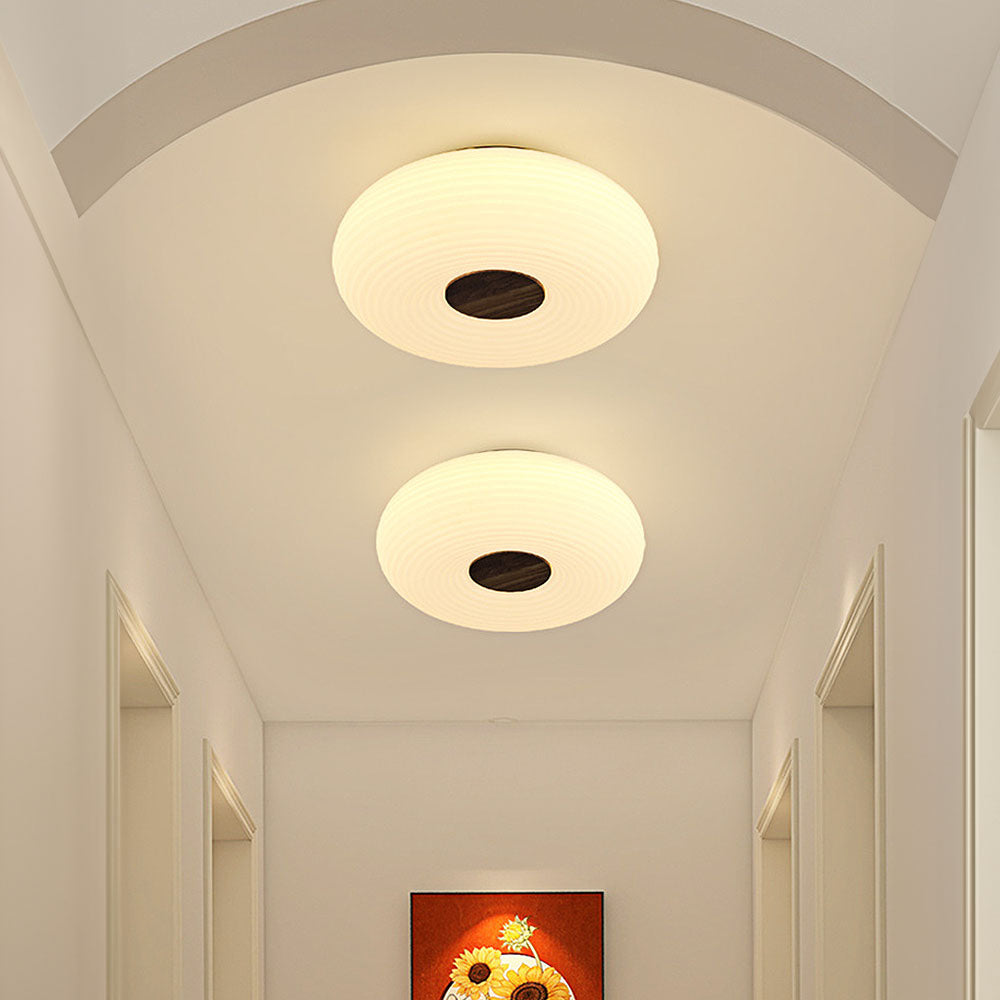 Modern Minimalist LED Flush Mount Ceiling Lights