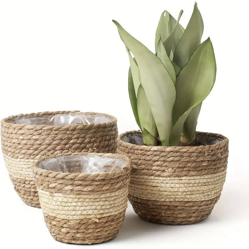 Handcrafted Trio Seagrass Planters