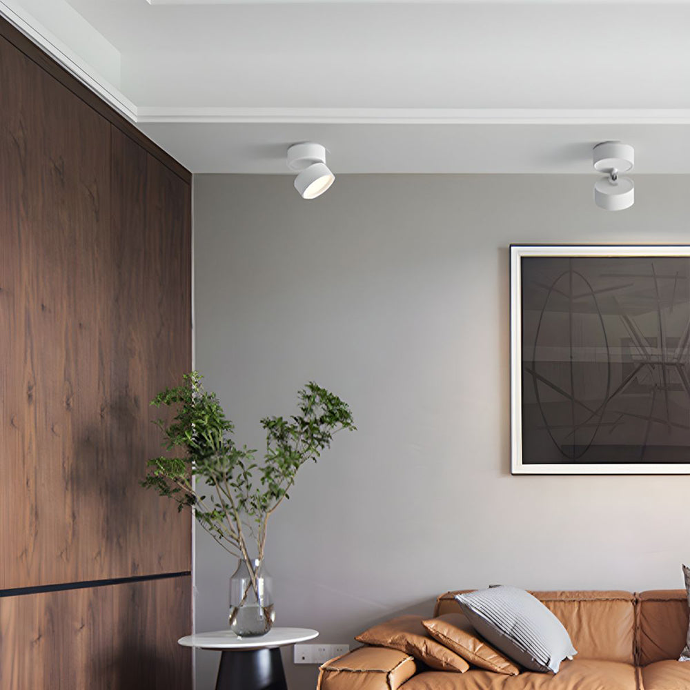 Compact Adjustable Ceiling Spotlight