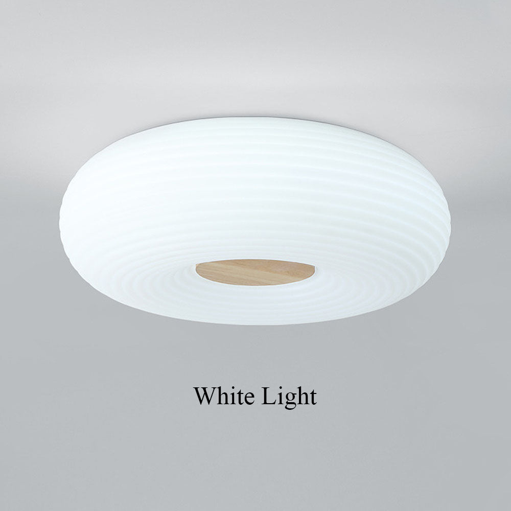 Modern Minimalist LED Flush Mount Ceiling Lights