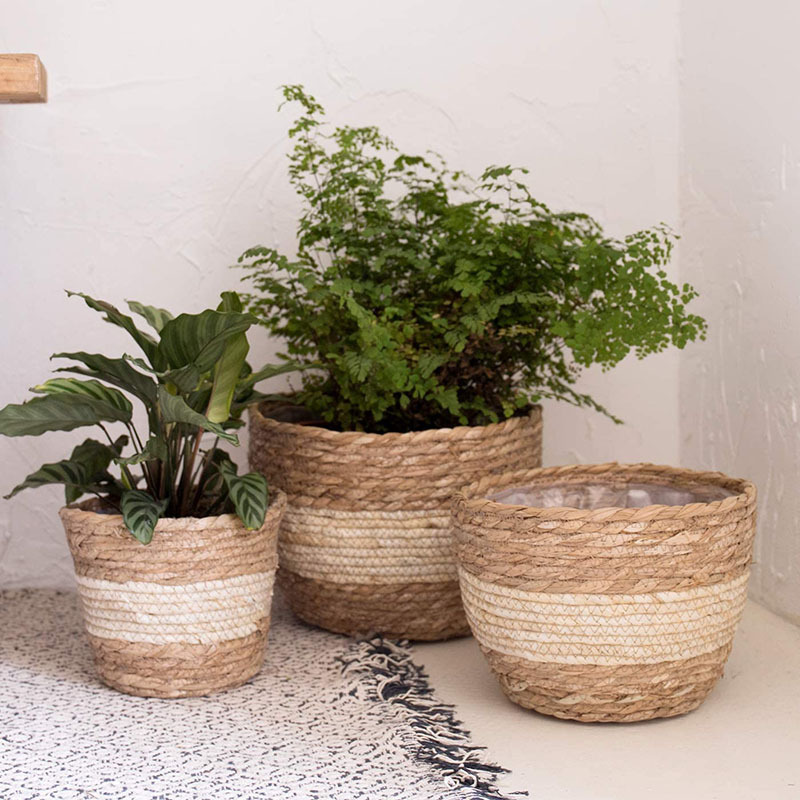 Handcrafted Trio Seagrass Planters