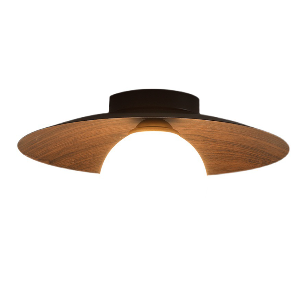 Sleek Contemporary Ceiling Light for Entryways & Foyers