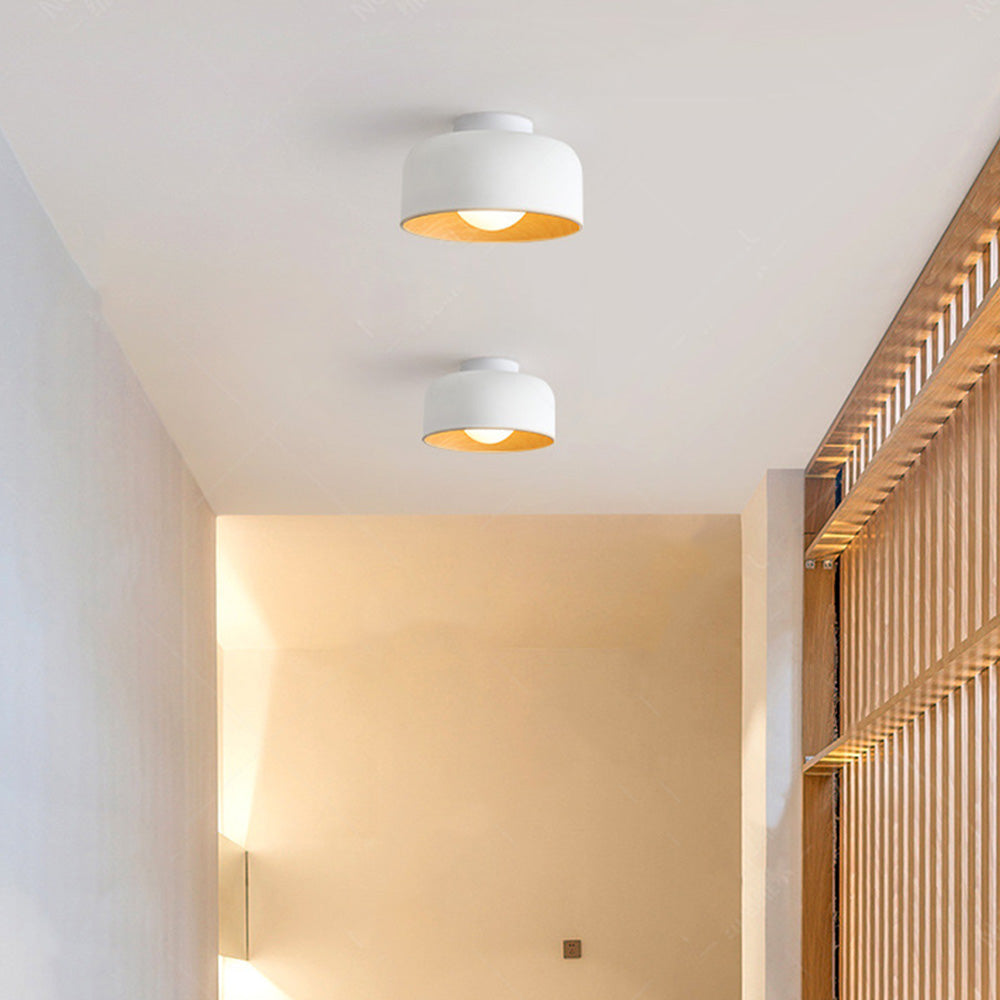 Minimalist Flush Mount Ceiling Lights