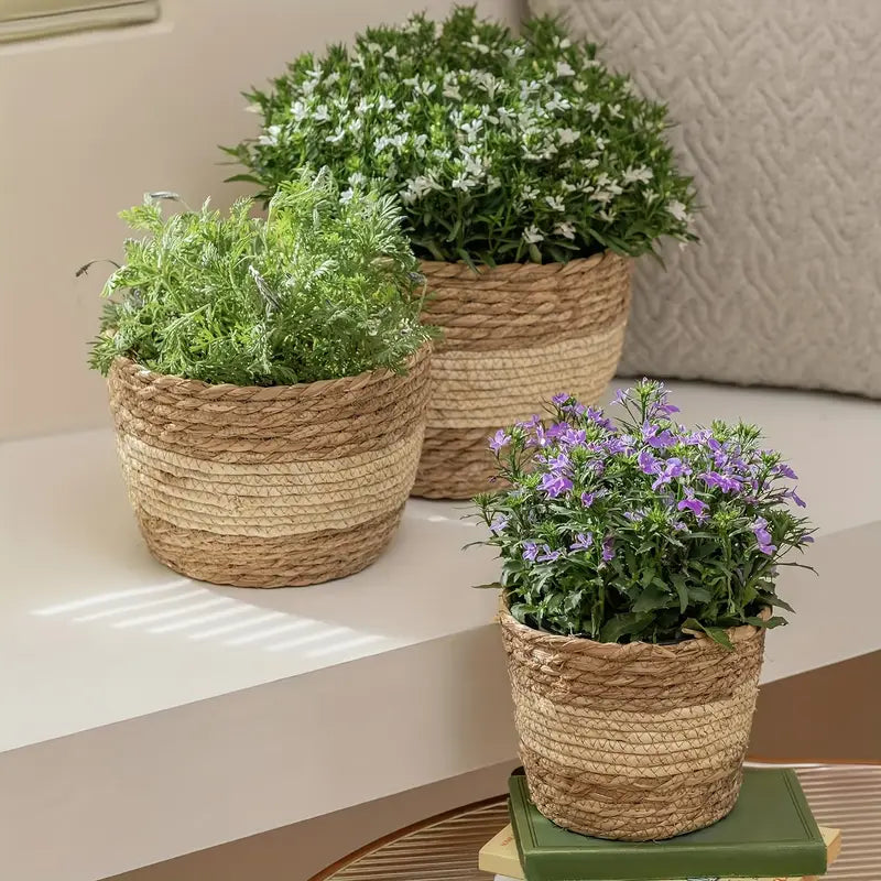 Handcrafted Trio Seagrass Planters
