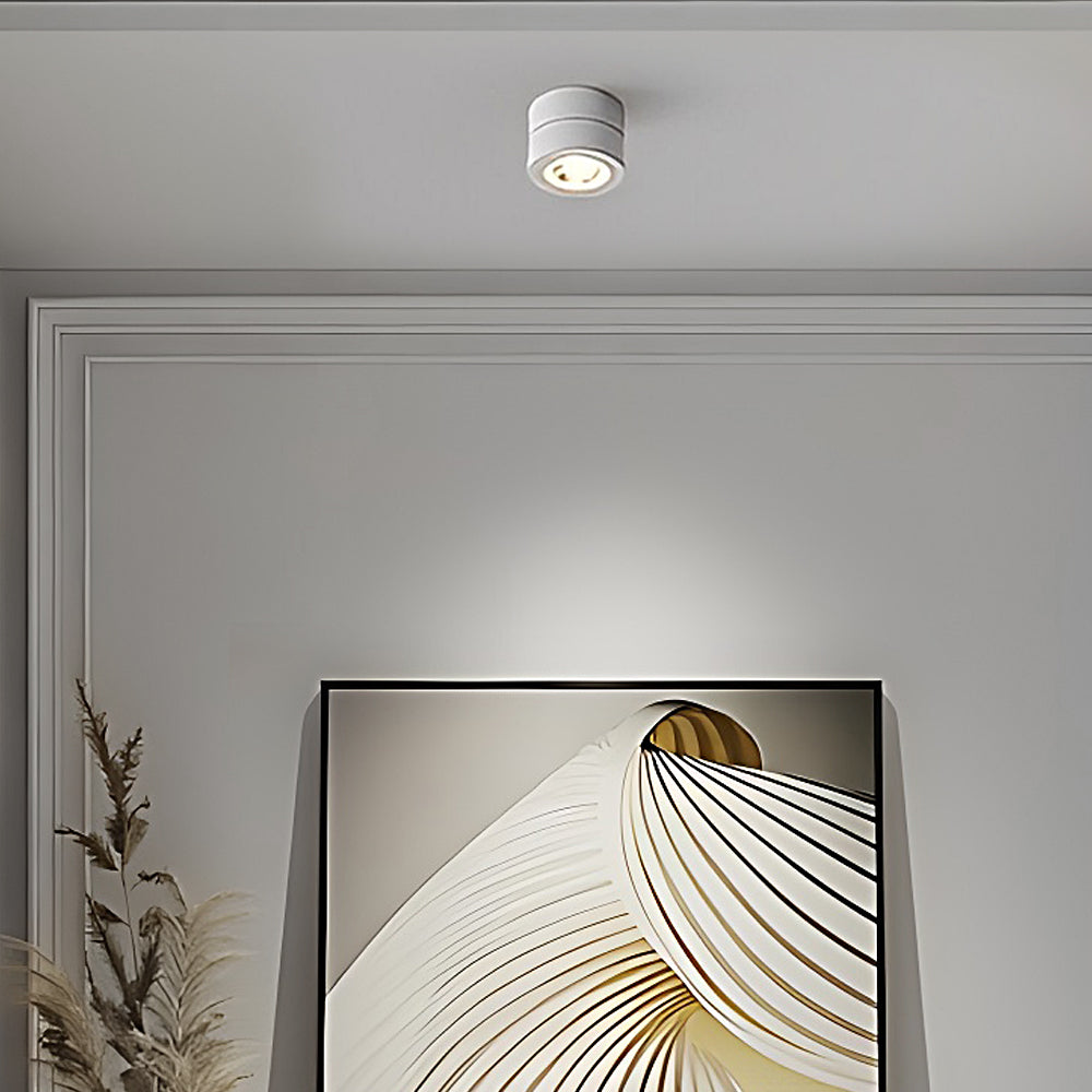 Round Foldable LED Spot Ceiling Light – Adjustable Surface-Mounted Ceiling Spotlight for Hallway and Living Room