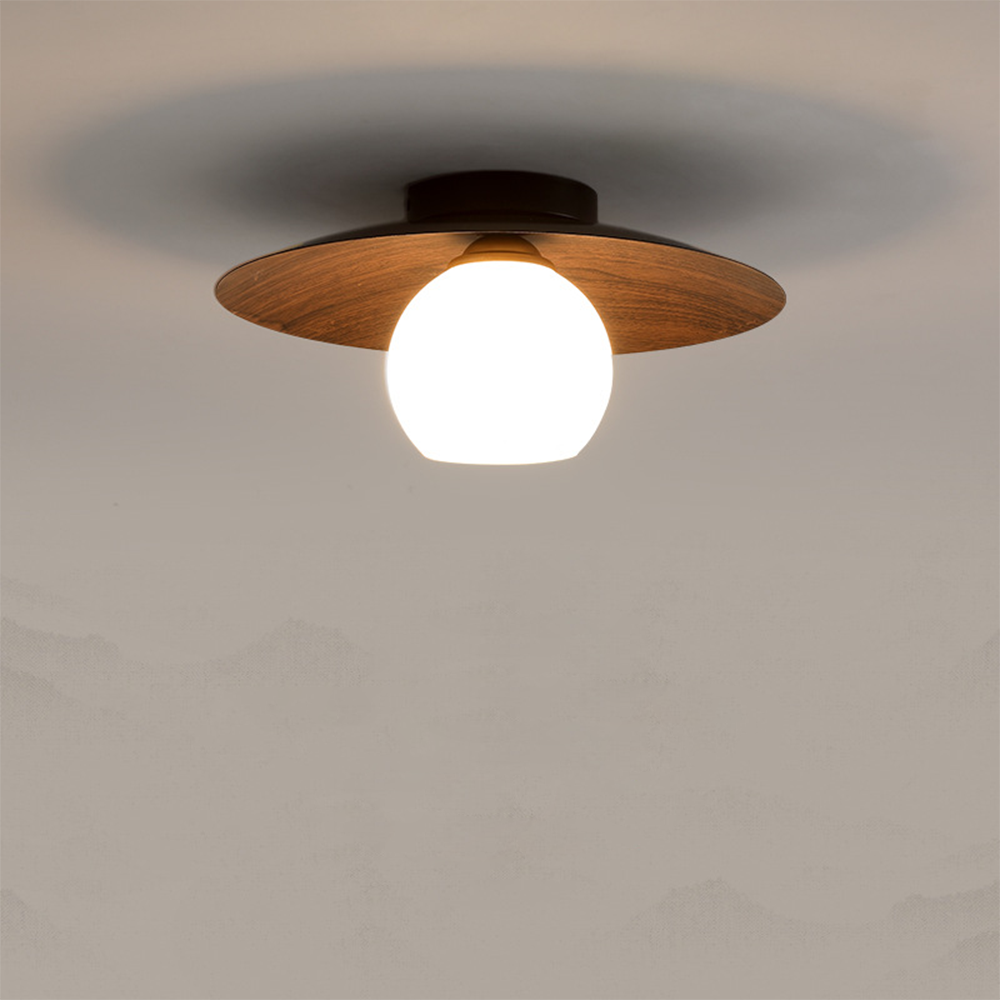 Sleek Contemporary Ceiling Light for Entryways & Foyers