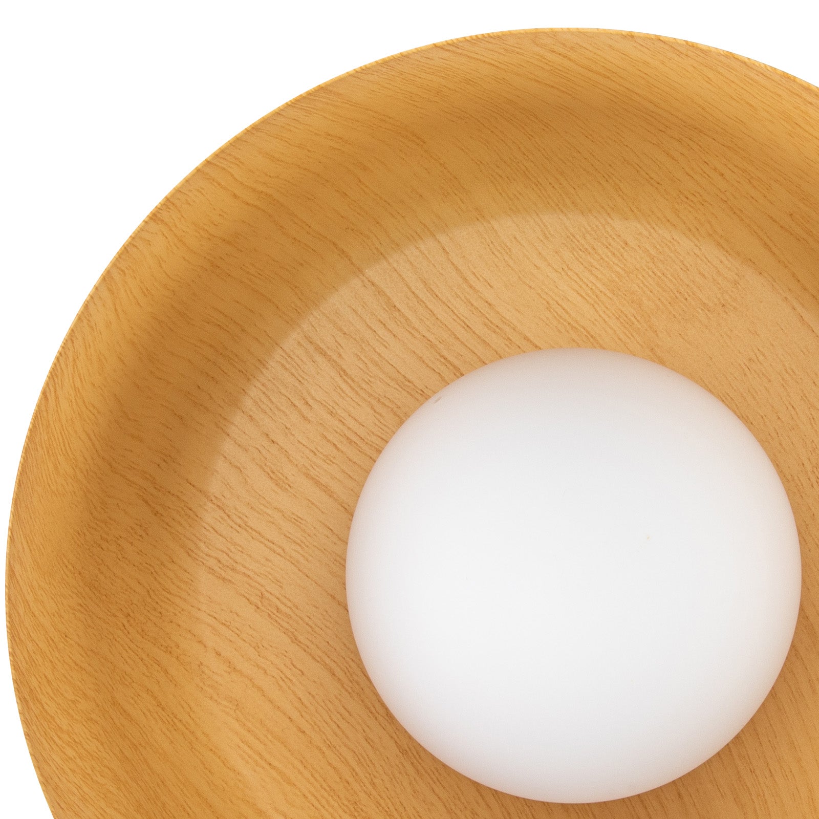 Minimalist Flush Mount Ceiling Lights