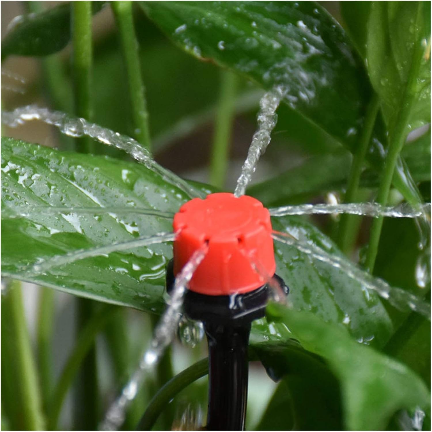 Automatic Irrigation System for Garden & Balcony Plants