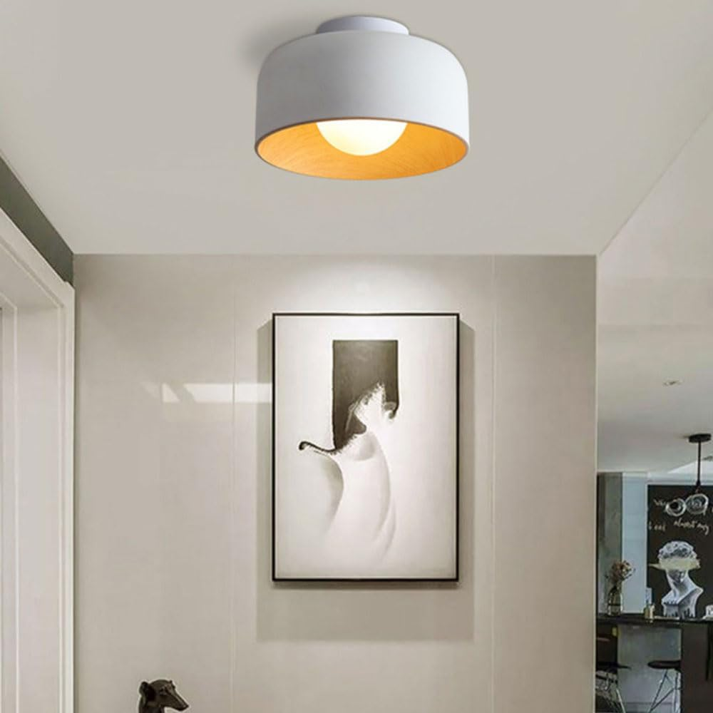 Minimalist Flush Mount Ceiling Lights