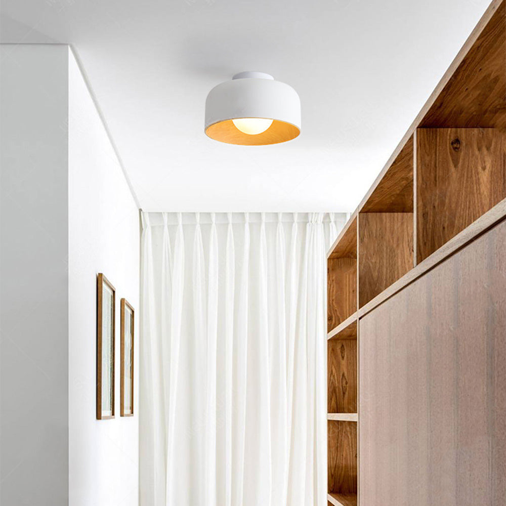 Minimalist Flush Mount Ceiling Lights