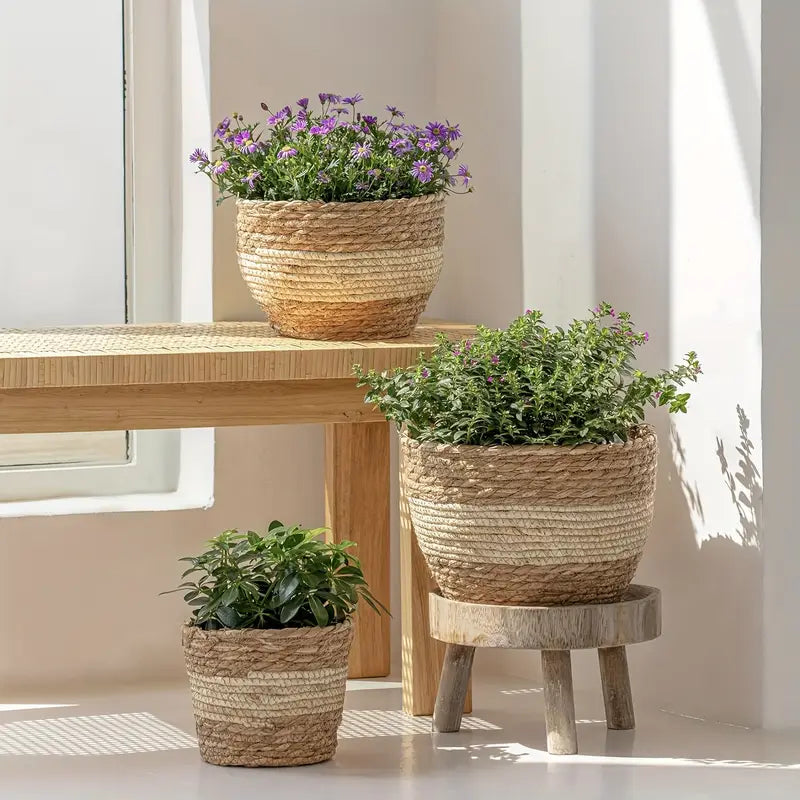 Handcrafted Trio Seagrass Planters