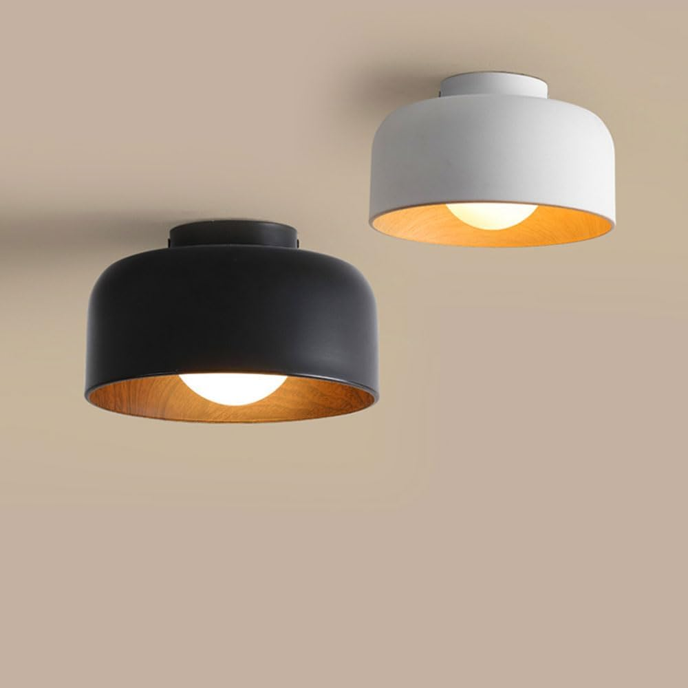 Minimalist Flush Mount Ceiling Lights