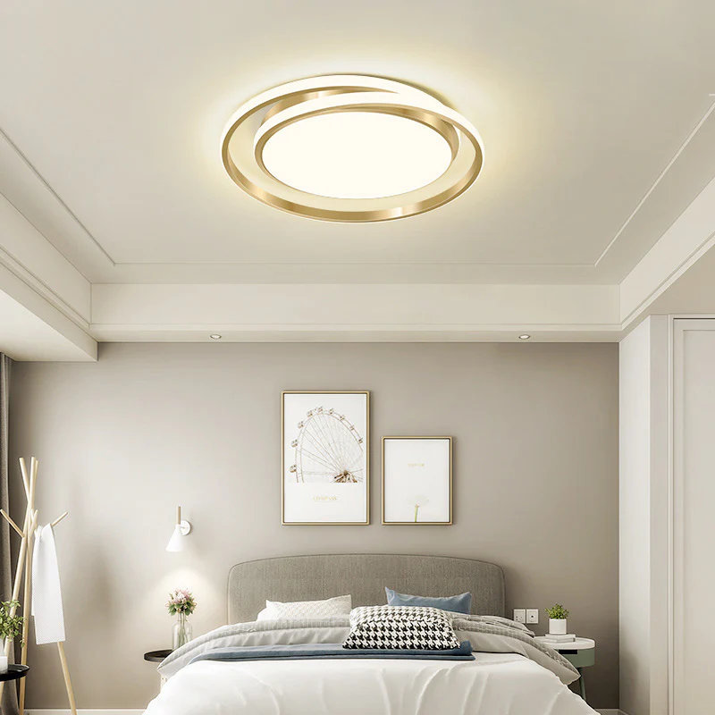 Duo Ring LED Ceiling Light Fixture