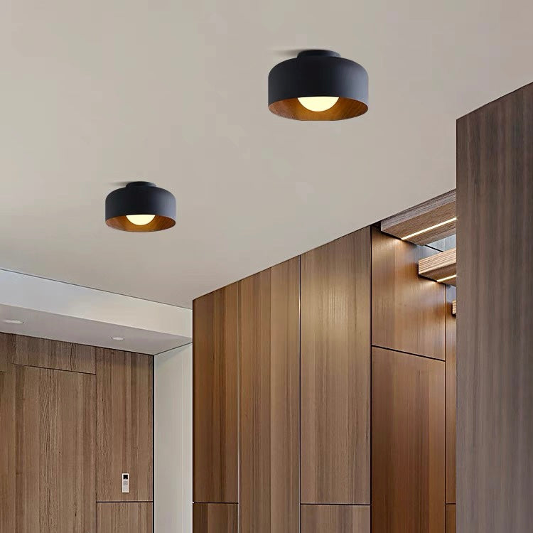 Minimalist Flush Mount Ceiling Lights