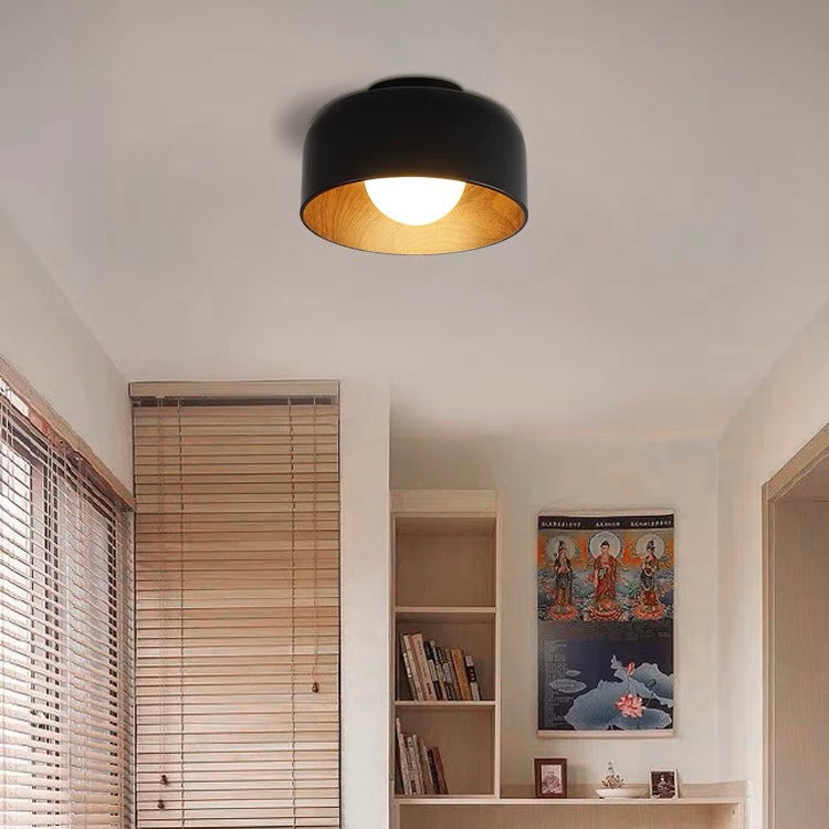 Minimalist Flush Mount Ceiling Lights
